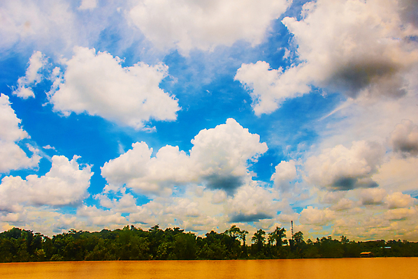포토 JPG 해외이미지 나무 구름 공원 아시아 모래 바다 섬 여행 자연 조류 하늘 휴가 산 풍경 사람없음 야외 물 여름 파란색 태양 바위 숲 열대우림 말레이시아 전국 해외202009 해외포토 자연요소 식물 동물 계절 공공시설 나라 컬러 돌_바위 생태계 파일형식