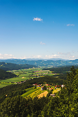포토 JPG 해외이미지 나무 식물 여행 백그라운드 겨울 패턴 농업 자연 하늘 포도 휴가 주택 파노라마 풍경 초원 사람없음 야외 초록색 여름 태양 농장 농경지 와인 정원 계곡 나뭇가지 시골 오스트리아 주식 언덕 포도밭 포도나무 남쪽 대각선 평행 해외202009 해외포토 자연요소 계절 유럽 산업 선 컬러 무늬 밭 과일 주류 촬영기법 건물 금융 과일나무 방향 생태계 파일형식