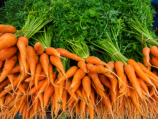 포토 JPG 해외이미지 식물 음료 음식 조각 농업 다이어트 채소 오렌지 과일 비즈니스 재료 자연 콩 감자 건강 손바닥 사람없음 초록색 식사 힘 주스 당근 에너지 성장 신선 시장 정크푸드 먹기 믹서 유기농 날것 뿌리 가치 내추럴 연소 오메가 채식주의자 맛있는 해외202009 해외포토 손 웰빙 산업 컬러 모션 곡류 뿌리채소 생태계 채식 파일형식