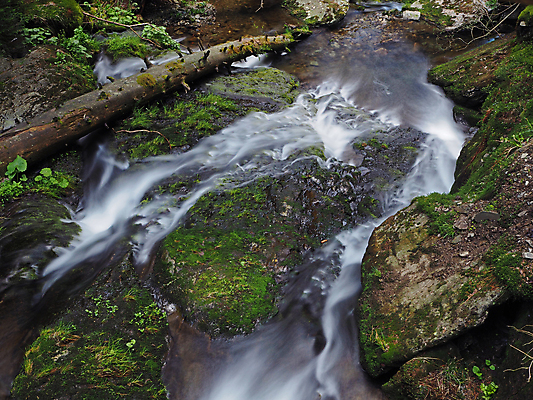 포토 JPG 해외이미지 나무 공원 잎 모션 자연 산 이끼 풍경 사람없음 야외 목재 초록색 물 강 환경 봄 폭포 젖음 흐름 바위 개울 숲 내추럴 해외202009 해외포토 자연요소 식물 계절 공공시설 컬러 컨셉 재료 돌_바위 생태계 파일형식