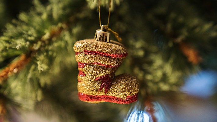 포토 JPG 해외이미지 나무 전통 디자인 계절 백그라운드 신발 크리스마스 겨울 휴가 새로움 매달리기 사람없음 장식 빨간색 초록색 빛 장식볼 흰색 나뭇가지 축하 소나무 황금 작음 연도 심볼 오브젝트 전나무 수공예 엘리먼트 해외202009 해외포토 식물 기념일 컬러 컨셉 모션 크기 공예 파일형식