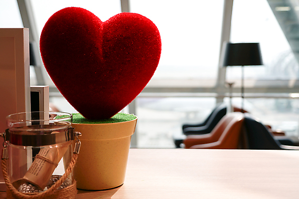 포토 JPG 해외이미지 모양 디자인 행복 백그라운드 컨셉 베개 발렌타인데이 선물 사랑 사람없음 장식 빨간색 장난감 장미 우주 낭만 흰색 하트 축하 심볼 질감 부드러움 해외202009 해외포토 꽃 감정 컬러 침구 데이이벤트 감각 파일형식