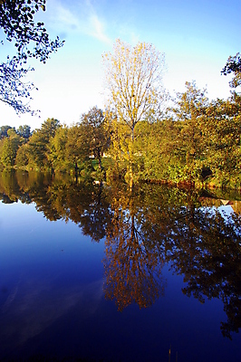 포토 JPG 해외이미지 나무 계절 유럽 여행 잎 자연 하늘 휴가 풍경 사람없음 초록색 물 강 컬러풀 반사 여행객 침묵 프랑스 가을 전원 숲 내추럴 프랑스어 해외202009 해외포토 자연요소 식물 문자 나라 컬러 사람 소리 전기에너지 생태계 파일형식