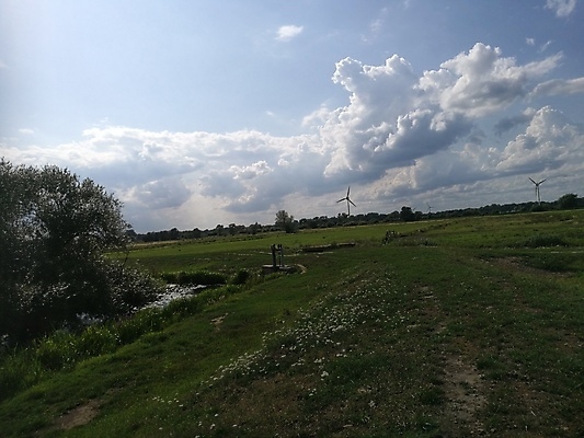 포토 JPG 해외이미지 나무 구름 오렌지 자연 하늘 풍경 초원 사람없음 야외 초록색 물 파란색 강 태양 노란색 낭만 흰색 저녁 북쪽 해외202009 해외포토 자연요소 식물 컬러 컨셉 과일 야간 방향 생태계 파일형식