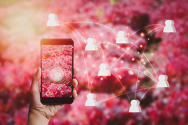 포토 JPG 해외이미지 식물 음식 백그라운드 잎 밭 농업 인터넷 채소 비즈니스 자연 모바일 건강 사람 사람없음 빨간색 쇼핑 농장 상점 수확 성장 신선 업무 네트워크 시장 플랫 구매 농부 상품 연결 상추 스마트 유기농 섬유 소매 온라인 내추럴 매각 온실 해외202009 해외포토 직업 웰빙 산업 컬러 컨셉 직물 작업 생태계 파일형식