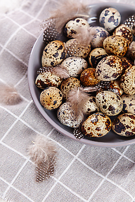 포토 JPG 해외이미지 전통 디자인 계절 행복 음식 백그라운드 컨셉 패턴 재료 자연 조류 휴가 부활절 건강 사람없음 장식 농장 갈색 우주 축제 치킨 봄 회색 수확 흰색 시골 축하 그룹 플랫 둥지 작음 먹기 심볼 깃털 유기농 질감 부활절계란 내추럴 메추리 콘크리트 해외202009 해외포토 동물 웰빙 기념일 감정 컬러 무늬 농업 모션 계란 크기 생태계 닭고기요리 파일형식