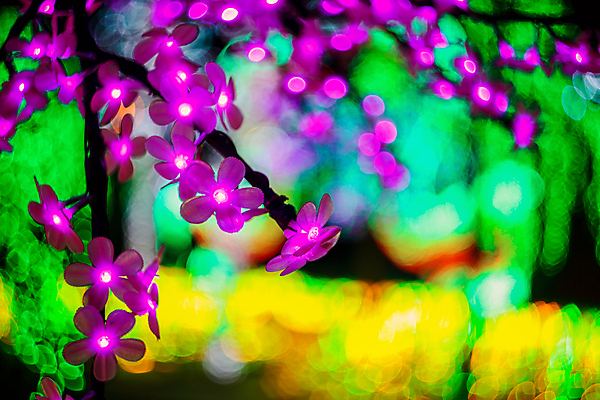 포토 JPG 해외이미지 디자인 백그라운드 크리스마스 일러스트 벽지 추상 휴가 불꽃 전등 기념 미술 사람없음 장식 파란색 빛 반짝임 컬러풀 노란색 파티 우주 검은색 축제 어둠 활발 축하 화려 황금 고급 야간 소프트포커스 질감 보케 먼지 공상 마법 광 블러 해외202009 해외포토 자연요소 기념일 컬러 컨셉 무늬 모션 불 문화예술 조명 촬영기법 이벤트 파일형식