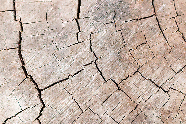 포토 JPG 해외이미지 나무 외관 벽 백그라운드 패턴 자연 표면 추상 주택 건조 사람없음 목재 줄무늬 판넬 얼룩 거친 균열 널 묘사 질감 잡동사니 내추럴 그런지 수목 옛날 해외202009 해외포토 식물 무늬 재료 모션 건물 생태계 파일형식