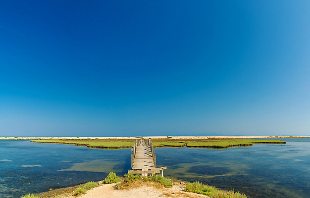 포토 JPG 해외이미지 바다 섬 여행 사람없음 목재 물 파란색 정상 지중해 그리스 석호 고립 깊이 터키석 수평선 해외202009 해외포토 자연요소 나무 유럽 컬러 재료 보석 파일형식