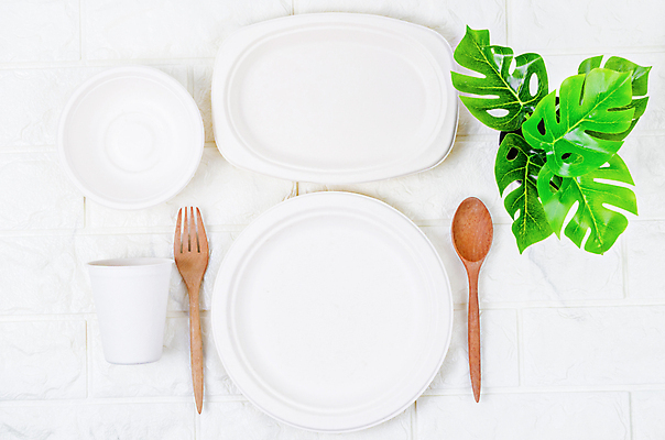 포토 JPG 해외이미지 그릇 식기 접시 사람없음 컵 숟가락 재활용 일회용 해외202009 해외포토 수저 친환경 파일형식