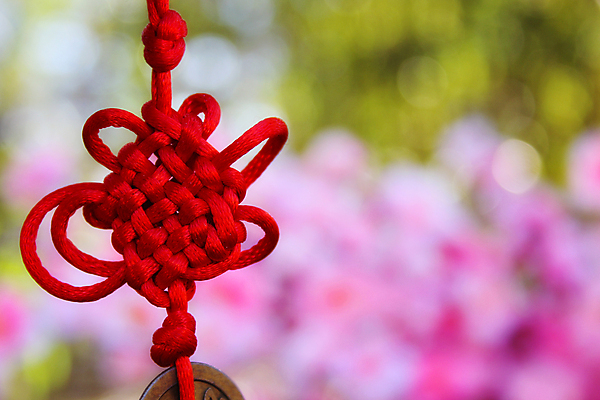 포토 JPG 해외이미지 나무 계절 꽃 분홍색 백그라운드 돈 꽃무늬 자연 성공 새해 동양인 사람없음 야외 빨간색 금융 금속 정원 동전 중국 봄 수확 벚꽃 행운 재산 황금 심볼 무역 매듭 영원 해외202009 해외포토 식물 산업 아시아 컬러 컨셉 무늬 농업 재질 인종 경제 생태계 파일형식