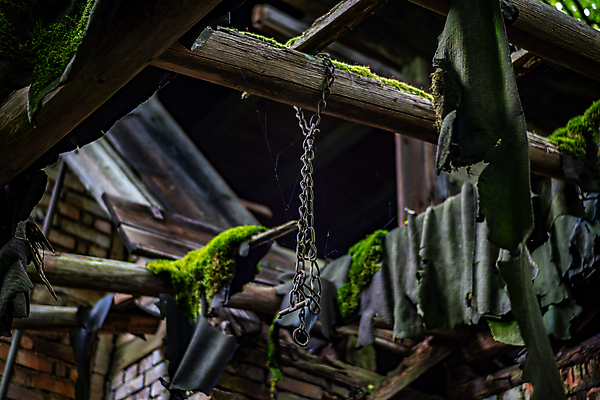 포토 JPG 해외이미지 산업 벽 잎 패턴 의자 건축양식 공장 자연 주택 병원 그림자 사람없음 내부 건물 금속 기계 손상 방 수확 골동품 덮개 죽음 오픈 사건 빌라 버리기 천장 복고 먼지 천국 고립 다락방 땅바닥 파멸 혼란 혼자 해외202009 해외포토 식물 건축물 건축 가구 컨셉 무늬 농업 공업 의학 모션 재질 바닥 뚜껑 생태계 파일형식 소멸