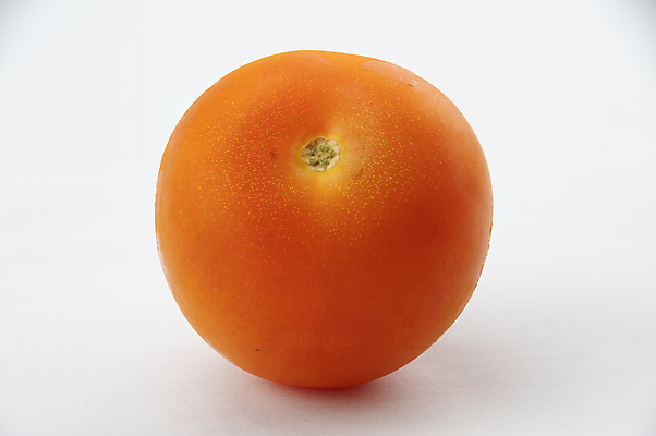 포토 JPG 해외이미지 음식 백그라운드 토마토 채소 재료 자연 건강 사람없음 목재 빨간색 정원 샐러드 시골 신선 자르기 유기농 날것 내추럴 숙성 채식주의자 해외202009 해외포토 나무 웰빙 컬러 모션 생태계 채식 파일형식