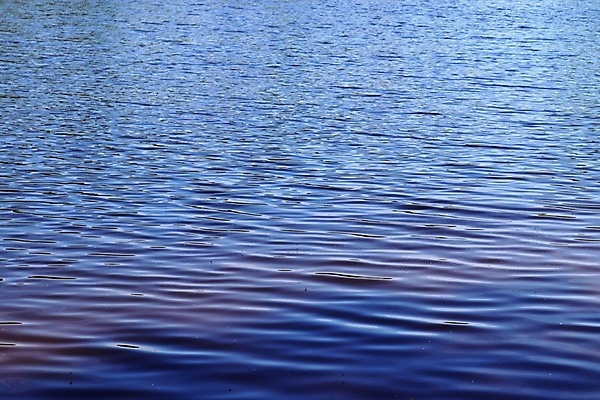 포토 JPG 해외이미지 디자인 호수 물결 모래 파도 바다 백그라운드 컨셉 패턴 유리 하늘 표면 사람없음 물 빛 강 컬러풀 햇빛 반사 침묵 거품 젖음 연못 신선 액체 떨어짐 가죽 질감 내추럴 카피스페이스 오싹 디테일 해외202009 해외포토 자연요소 컬러 무늬 재질 태양 소리 공백 파일형식