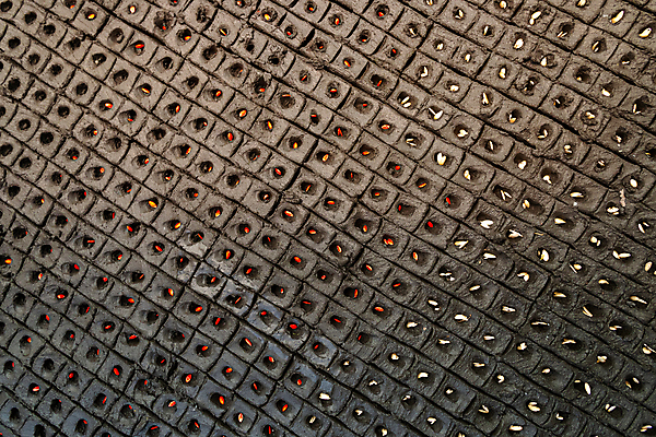 포토 JPG 해외이미지 식물 전통 남자 문화 지구 잎 밭 농업 자연 아침 씨앗 사람 풍경 사람없음 여름 농작물 농장 새싹 일출 환경 정원 흙 봄 수확 성장 시골 신선 작업 농부 유기농 원예 질감 조경 먼지 장면 땅바닥 모종 묘목 밭일 해외202009 해외포토 주간 나무 직업 웰빙 계절 산업 바닥 취미 노을 생태계 파일형식