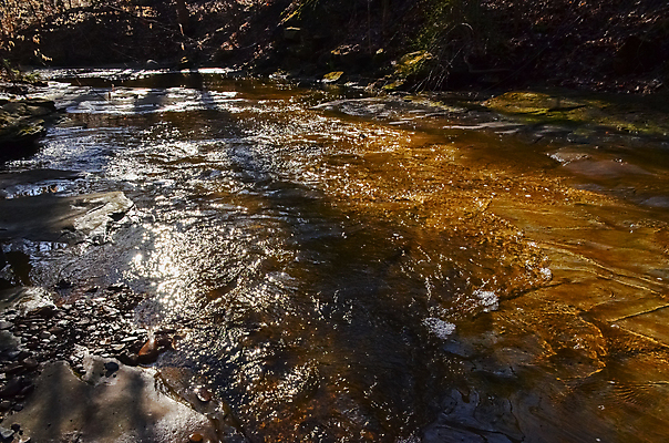 포토 JPG 해외이미지 나무 공원 잎 자연 풍경 사람없음 야외 초록색 물 여름 강 환경 계곡 폭포 가을 개울 급류 숲 암초 전국 해외202009 해외포토 자연요소 식물 계절 공공시설 컬러 생태계 파일형식