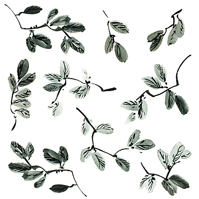 포토 JPG 해외이미지 나무 식물 전통 계절 줄기 잎 일러스트 자연 수채화 미술 동양인 초원 사람없음 여름 정원 일본 중국 나뭇가지 붓 그림 동쪽 핸드메이드 해외202009 해외포토 아시아 문화예술 인종 방향 생태계 파일형식