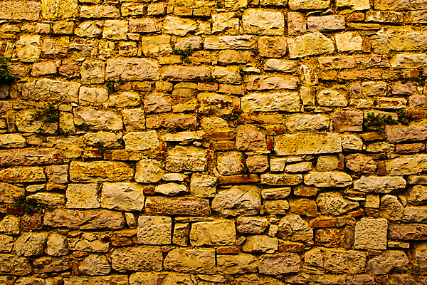 포토 JPG 해외이미지 벽 날씨 바닥 프레임 사람없음 사진촬영 힘 얼룩 재산 보호 장애물 교도소 감옥 타일 주기 질감 레이아웃 보안 만들기 뼈대 시들음 유지 창백 건축업자 구식 그런지 돌봄 방치 썩음 국경 효과 해외202009 해외포토 건축 컨셉 모션 안전 금융 촬영 파일형식