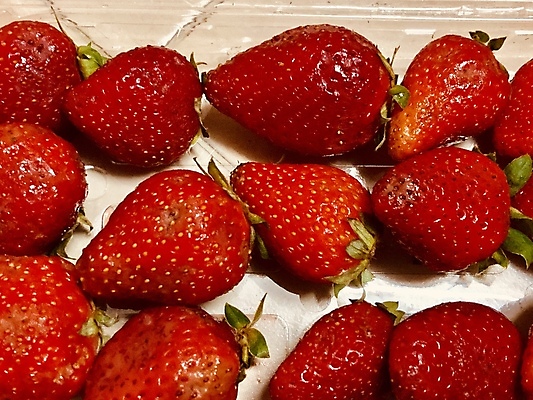 포토 JPG 해외이미지 과일 딸기 사람없음 해외202009 해외포토 파일형식