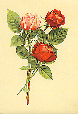 포토 JPG 해외이미지 식물 디자인 꽃 종이 분홍색 꽃다발 백그라운드 잎 꽃무늬 일러스트 자연 아침 수채화 선물 미술 사람없음 장식 초록색 여름 파란색 빛 보라색 페인트 봄 젖음 벚꽃 나뭇가지 인사 신선 개화 순수 라일락 감탄 해외202009 해외포토 주간 나무 계절 컬러 컨셉 무늬 문화예술 예절 생태계 파일형식