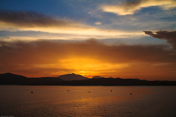 포토 JPG 해외이미지 구름 모래 바다 여행 백그라운드 오렌지 자연 조류 하늘 아침 휴가 풍경 사람없음 여름 파란색 빛 컬러풀 햇빛 태양 반사 평화 일출 침묵 황혼 일몰 새벽 활발 바위 저녁 암초 내추럴 해일 해외202009 해외포토 주간 자연요소 동물 계절 컬러 컨셉 과일 노을 소리 돌_바위 야간 자연재해 생태계 파일형식