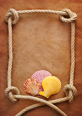 포토 JPG 해외이미지 종이 밧줄 백그라운드 프레임 사람없음 갈색 사각형 조개껍데기 엉킴 질감 카피스페이스 해외202009 해외포토 도형 줄 컬러 조개 공백 파일형식