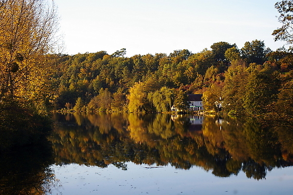 포토 JPG 해외이미지 나무 계절 유럽 여행 잎 자연 하늘 휴가 풍경 사람없음 야외 초록색 물 강 컬러풀 반사 노란색 여행객 침묵 프랑스 가을 전원 숲 내추럴 프랑스어 해외202009 해외포토 자연요소 식물 문자 나라 컬러 사람 소리 전기에너지 생태계 파일형식