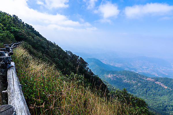 포토 JPG 해외이미지 공원 자국 태국 자연 사람없음 해외202009 해외포토 공공시설 아시아 생태계 파일형식