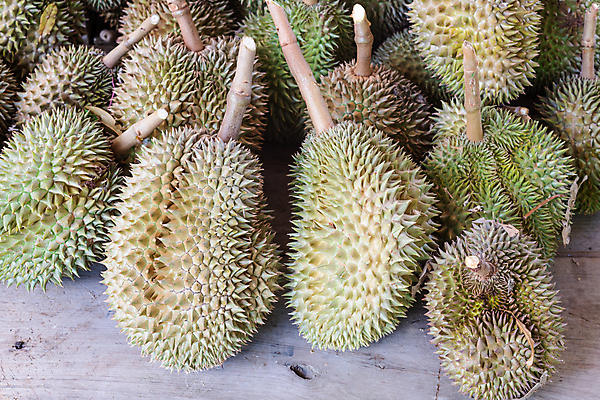 포토 JPG 해외이미지 식물 아시아 음식 여행 백그라운드 과일 태국 자연 탁자 디저트 건강 동양인 사람없음 야외 목재 초록색 노란색 신선 가시 시장 달콤 맛 무거움 흙더미 내추럴 숙성 이국적 많음 맛있는 해외202009 해외포토 나무 나라 컬러 가구 컨셉 재료 인종 흙 무게 생태계 파일형식 더미