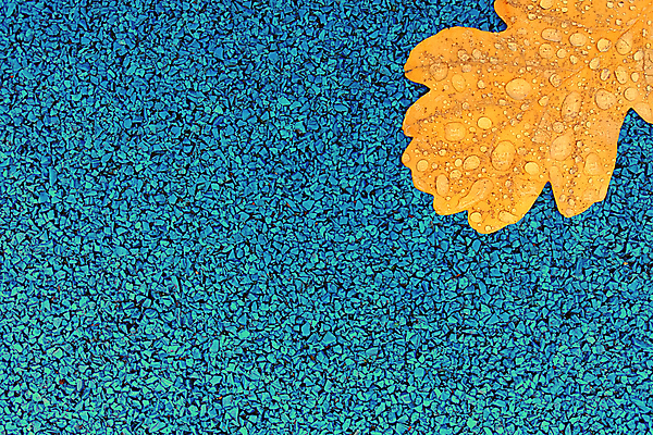 포토 JPG 해외이미지 디자인 계절 백그라운드 컨셉 잎 오렌지 날씨 추상 미술 사람없음 장식 물 파란색 컬러풀 노란색 활발 젖음 가을 물방울 모서리 9월 신학기 10월 목업 해외202009 해외포토 자연요소 식물 컬러 무늬 과일 문화예술 날짜 파일형식