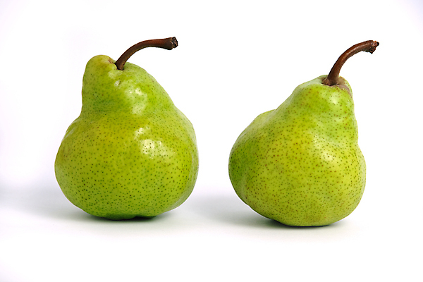 포토 JPG 해외이미지 식물 음식 줄기 백그라운드 2 다이어트 과일 자연 건강 사람없음 초록색 침묵 흰색 신선 쌍 그룹 시장 닫기 달콤 맛 먹기 오브젝트 싱글 유기농 날것 슛 내추럴 고립 숙성 영양분 채식주의자 맛있는 해외202009 해외포토 웰빙 컬러 컨셉 모션 소리 생태계 채식 파일형식