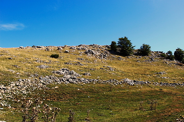 포토 JPG 해외이미지 나무 유럽 컨셉 자연 하늘 산 건조 풍경 사람없음 옆모습 파란색 하이킹 가득함 언덕 만족 조경 암초 전경 해외202009 해외포토 식물 감정 나라 뷰포인트 컬러 레저 생태계 파일형식 탑뷰