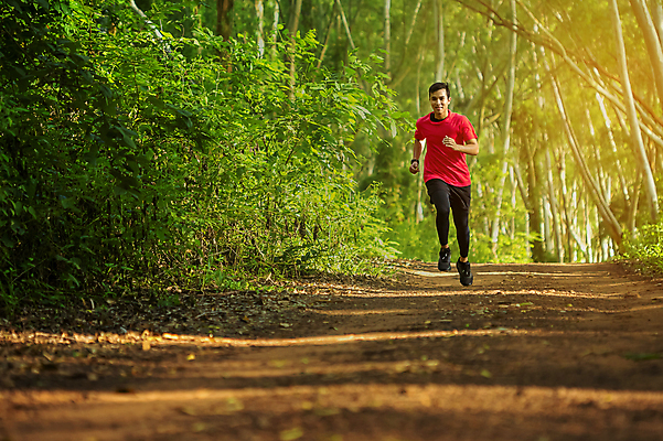 포토 JPG 해외이미지 나무 백인 라이프스타일 공원 남자 행복 도로 길 스포츠 포즈 자국 모션 자연 건강 한명 사람 성인 야외 초록색 운동복 달리기 조깅 운동 맑음 일몰 봄 숲 연습 속도 마라톤 건너기 달리기선수 해외202009 해외포토 서양인 식물 1 옷 계절 공공시설 감정 컬러 교통시설 날씨 경기 생활 노을 육상스포츠 생태계 육상선수 파일형식
