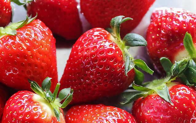 포토 JPG 해외이미지 딸기 근접촬영 사람없음 흰배경 해외202009 해외포토 뷰포인트 백그라운드 과일 흰색 파일형식