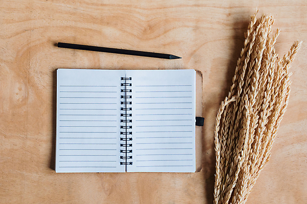 포토 JPG 해외이미지 종이 백그라운드 컨셉 농업 탁자 아이디어 선물 사람없음 목재 책 다이어리 쪽지 공책 공백 기록 오픈 발표 정상 낟알 쇼 페이지 보여주기 해외202009 해외포토 나무 산업 가구 재료 모션 문구용품 사무용품 파일형식