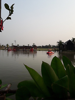 포토 JPG 해외이미지 나무 식물 계절 공원 꽃 아시아 호수 여행 백그라운드 밭 오렌지 태국 자연 하늘 아침 휴가 열대 그림자 사람없음 야외 물 파란색 빛 강 햇빛 태양 일출 정원 일몰 새벽 벚꽃 연못 저녁 숲 내추럴 해외202009 해외포토 주간 자연요소 공공시설 나라 컬러 농업 과일 노을 야간 생태계 파일형식