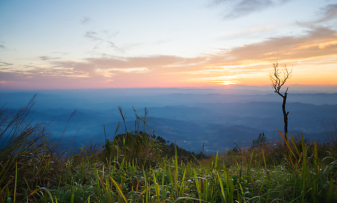포토 JPG 해외이미지 나무 구름 계절 지구 여행 백그라운드 겨울 오렌지 하늘 바람 휴가 휴식 산 바닥 따뜻함 국립공원 풍경 사람없음 초록색 파란색 태양 노란색 맑음 일몰 흙 안개 숲 언덕 포인트 땅바닥 해외202009 해외포토 자연요소 식물 공원 컬러 컨셉 과일 날씨 금융 노을 파일형식