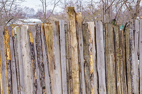 포토 JPG 해외이미지 나무 식물 디자인 선 벽 백그라운드 패턴 표면 날씨 사람없음 야외 목재 장식 가로 세로 울타리 정원 어둠 줄무늬 시골 못 판넬 거친 균열 널 가난 버리기 폐허 질감 다리찢기 내추럴 수목 옛날 해외202009 해외포토 컨셉 무늬 재료 모션 담장 공구 파일형식