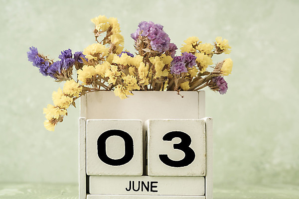 포토 JPG 해외이미지 템플릿 계절 꽃 꽃다발 백그라운드 컨셉 탁자 3 사람없음 목재 초록색 숫자 노란색 다이어리 보라색 봄 블록 수확 달력 흰색 시간 날짜 계획 6월 연도 큐브 오브젝트 질감 복고 월 옛날 오늘 조언 카피스페이스 해외202009 해외포토 나무 식물 문자 컬러 가구 농업 재료 사무용품 공백 파일형식