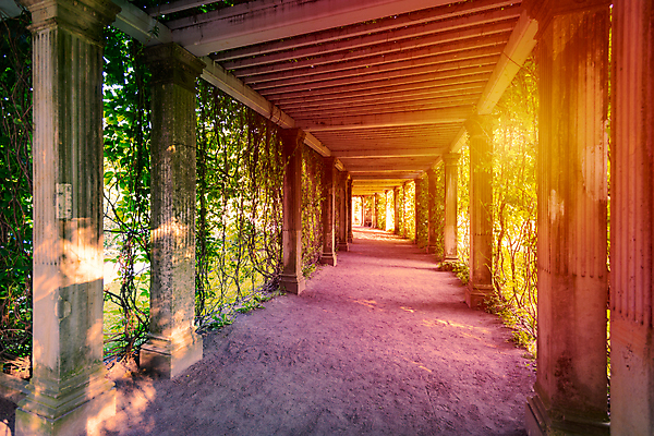 포토 JPG 해외이미지 나무 식물 계절 공원 유럽 도로 길 여행 잎 농업 건축양식 자연 풍경 사람없음 야외 초록색 여름 빛 햇빛 태양 노란색 환경 정원 맑음 산책 나뭇가지 터널 성자 오솔길 통로 아치 러시아 장면 내추럴 방법 옛날 해외202009 해외포토 자연요소 공공시설 건축 나라 산업 종교 컬러 교통시설 날씨 휴식 생태계 파일형식