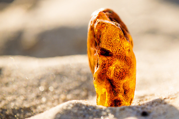 포토 JPG 해외이미지 자연 사람없음 빛 주황색 투명 보석 화석 앰버 해외포토 컬러 광석 생태계 파일형식