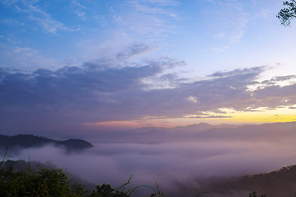 포토 JPG 해외이미지 식물 구름 여자 꽃 섬 밭 태국 자연 하늘 아침 추상 주택 풍경 사람없음 목재 초록색 파란색 빛 컬러풀 일출 계곡 어둠 새벽 안개 가을 흰색 시골 황금 이슬 대나무 언덕 속도 인도네시아 전국 절정 해외202009 해외포토 주간 자연요소 나무 계절 아시아 컬러 무늬 농업 재료 날씨 사람 건물 노을 생태계 파일형식