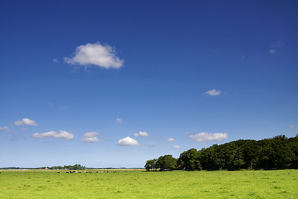 포토 JPG 해외이미지 구름 밭 자연 하늘 풍경 초원 사람없음 초록색 파란색 오픈 재산 숲 네덜란드 해외202009 해외포토 자연요소 유럽 컬러 농업 금융 생태계 파일형식