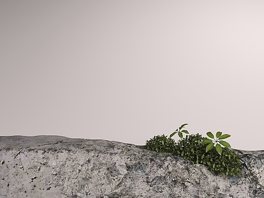 포토 JPG 해외이미지 모양 템플릿 디자인 백그라운드 컨셉 일러스트 추상 벽돌 서기 사람없음 장식 빛 유행 3D 우주 공백 블록 흰색 발표 고급 상품 받침대 오브젝트 진열장 질감 만들기 쇼 단상 옛날 지휘대 목업 미니멀리스트 미니멀 해외202009 해외포토 컬러 무늬 모션 디지털합성 파일형식