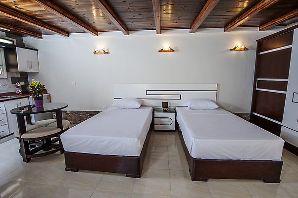 포토 JPG 해외이미지 식물 벽 가구 베개 탁자 아파트 주택 실내 사람없음 내부 빛 주방 침실 방 침대 램프 커튼 고급 빌라 해외202009 해외포토 생활용품 컨셉 침구 조명 건물 파일형식