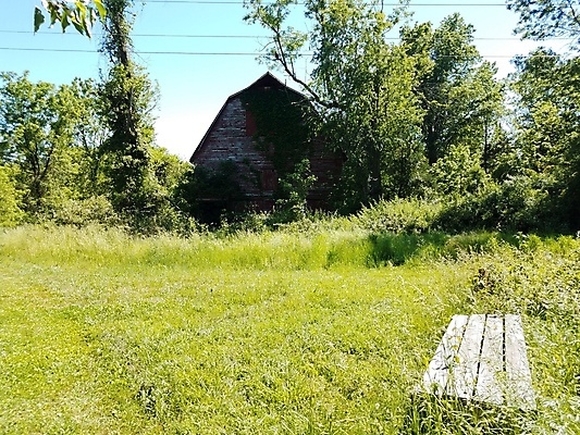 포토 JPG 해외이미지 나무 벤치 의자 날씨 사람없음 야외 건물 목재 빨간색 초록색 농장 폐허 외양간 옛날 해외202009 해외포토 식물 건축물 컬러 가구 농업 재료 파일형식