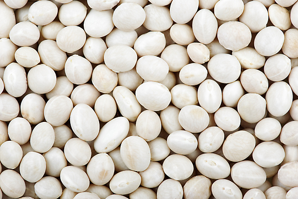 포토 JPG 해외이미지 식물 음식 백그라운드 채소 재료 추상 콩 건조 건강 사람없음 갈색 흰색 원형 신장 낟알 날것 강낭콩 내추럴 생식 채식주의자 해외202009 해외포토 도형 컬러 무늬 곡류 비뇨기관 채식 파일형식