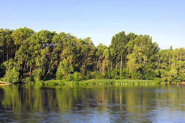 포토 JPG 해외이미지 나무 계절 공원 호수 백그라운드 자연 하늘 아침 풍경 사람없음 야외 목재 초록색 물 여름 파란색 강 컬러풀 햇빛 반사 숲 내추럴 해외202009 해외포토 주간 자연요소 식물 공공시설 컬러 재료 태양 생태계 파일형식