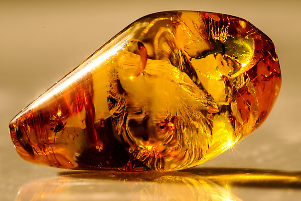 포토 JPG 해외이미지 자연 사람없음 빛 주황색 투명 보석 화석 앰버 해외포토 컬러 광석 생태계 파일형식