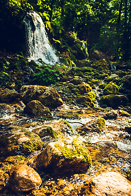 포토 JPG 해외이미지 나무 공원 여행 곰 모션 자연 산 이끼 풍경 사람없음 야외 초록색 물 강 평화 골짜기 봄 폭포 하이킹 흐름 바위 신선 개울 황무지 오스트리아 숲 오르기 알프스 내추럴 혼자 해외202009 해외포토 자연요소 식물 동물 계절 공공시설 유럽 컬러 컨셉 포유류 레저 돌_바위 생태계 파일형식
